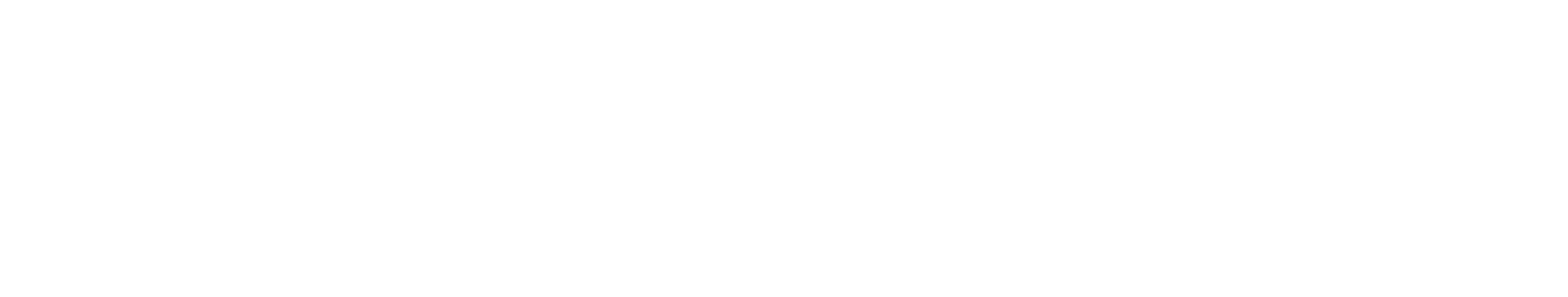 BookVisit_logo_vit -2